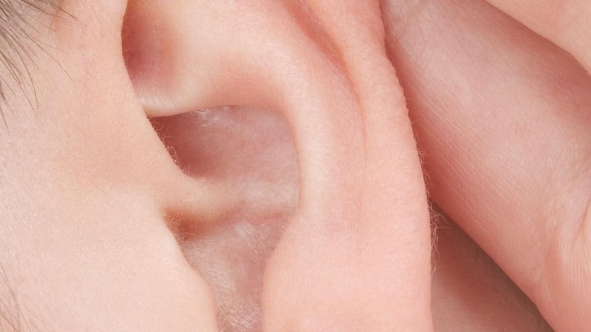 close up of an ear
