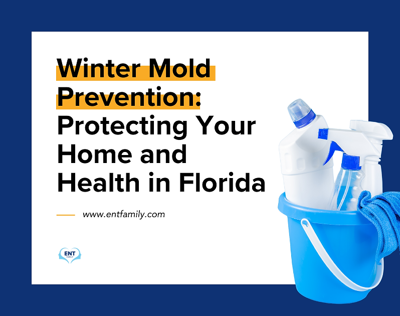 Winter Mold Prevention: Protecting Your Home and Health in Florida